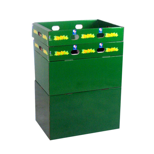 Customized POP & POS Dump Bins Cardboard Display Suppliers